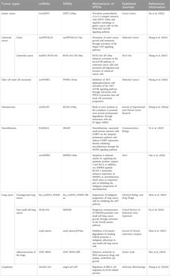 Roles of small peptides encoded by non-coding RNAs in tumor invasion and migration